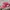 Sportswear Casual Hat Pria red photo 2