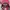 Sportswear Casual Hat Pria red photo 5