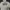 Dickies Casual Denim Jacket Pria White Cream