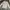 Stussy Streetwear T-shirt Pria white photo 4