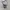 Y2K Luxury Tote bag Wanita white black photo 1