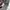 Adidas Streetwear Casual Vest Pria gray photo 4