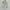 Streetwear Casual Short Pria white photo 6