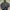 Carhartt Vintage Y2K Denim Jacket Pria Black Gray