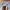 MLB Streetwear Sportswear Sweatpants & Joggers Pria white gray photo 3