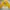 Vintage Sweater Wanita Yellow