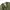 Alpha Industries Streetwear Casual Bomber jacket Pria green photo 5