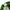 Sportswear Hat Pria green photo 5
