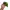 Sportswear Hat Pria green photo 3