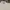 Lacoste Vintage Y2K Polo shirt Pria white photo 2