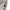 Fendi Luxury Casual Casual trouser Wanita cream photo 8