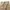 Kapital Kountry Vintage Futurist Casual pants Pria tan cream photo 4