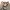 Kapital Kountry Vintage Futurist Casual Pants Pria Tan Cream