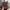Vintage Y2K Hat Pria red blue photo 2