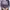 Y2K Sweatshirt Wanita purple photo 1