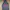 Dickies Streetwear Casual Leather Jacket Pria Red Gray