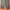 Streetwear Gorpcore Pria green photo 5