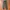 Streetwear Gorpcore Pria green photo 4