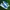 Puma Casual Sneakers Pria white blue photo 1
