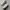 VANS Skater Casual Casual shoe Pria white photo 1