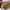 VANS Skater Casual Casual shoe Pria white photo 5