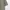 Uniqlo Casual Polo shirt Pria green photo 5
