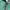 Vintage Casual Parka Pria green photo 3