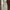 Japanese Brand Fairy Coquette Summer Dress Wanita Green