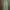 Japanese brand Fairy Coquette Summer dress Wanita green photo 2