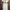 Coquette Casual Prom dress Wanita pink photo 1