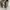New Balance Streetwear Sportswear Sneakers Pria gray photo 7