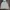 National Geographic Streetwear Sportswear Hoody Pria white black photo 1
