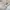 et cetera Vintage Indie Cardigan Pria white photo 3