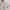 et cetera Vintage Indie Cardigan Pria white photo 7