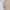 et cetera Vintage Indie Cardigan Pria white photo 5