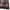 8seconds Grunge Indie Cardigan Pria multicolor photo 5