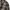 8seconds Grunge Indie Cardigan Pria multicolor photo 4