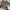 Nevada Casual Sweater Wanita green photo 2
