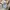 Vintage Sweater Pria tan photo 6