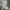 Nike Sportswear Sweatpants & Joggers Pria gray photo 1