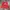 Casual Sweater Pria Red