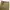 Uniqlo Gorpcore Casual Casual pants Pria khaki photo 5