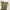 Uniqlo Gorpcore Casual Casual pants Pria khaki photo 4