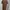 Casual Casual dress Wanita brown photo 2