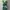 Casual Casual dress Wanita white green photo 1