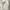 H&M Grunge Casual Hoody Pria white photo 2