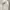 H&M Grunge Casual Hoody Pria White
