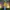 Stone Island Streetwear Casual Windbreaker Pria yellow photo 2