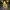 Stone Island Streetwear Casual Windbreaker Pria yellow photo 3