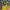 Stone Island Streetwear Casual Windbreaker Pria yellow photo 1